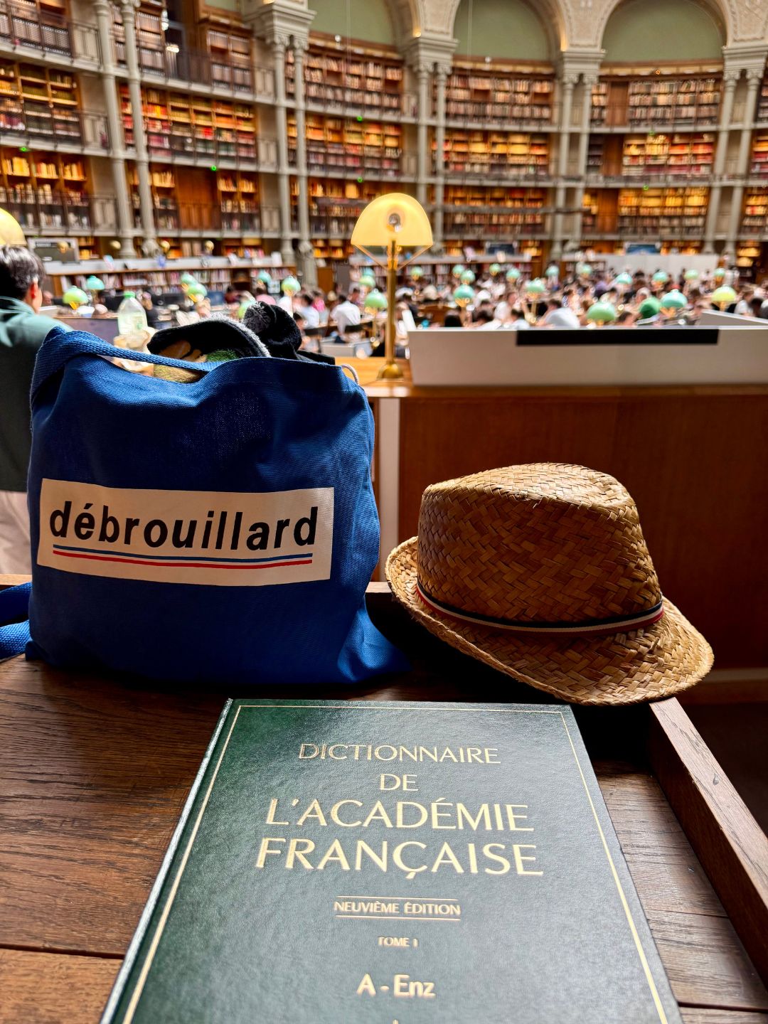 Débrouillard dictionnaire de l'academie francaise