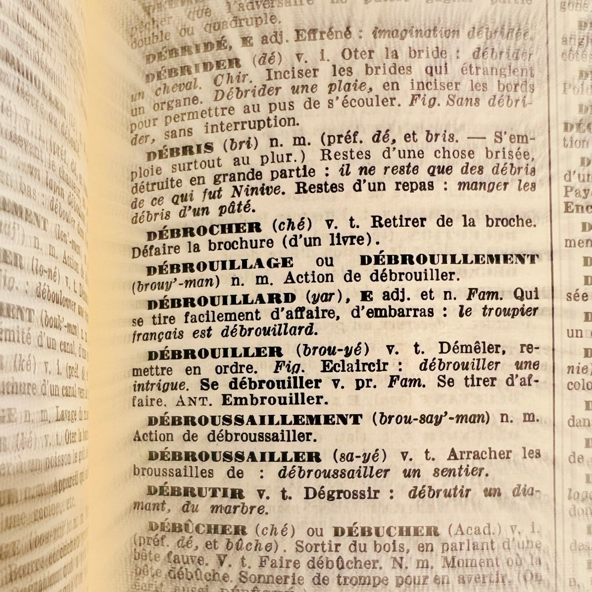 Debrouillard in English